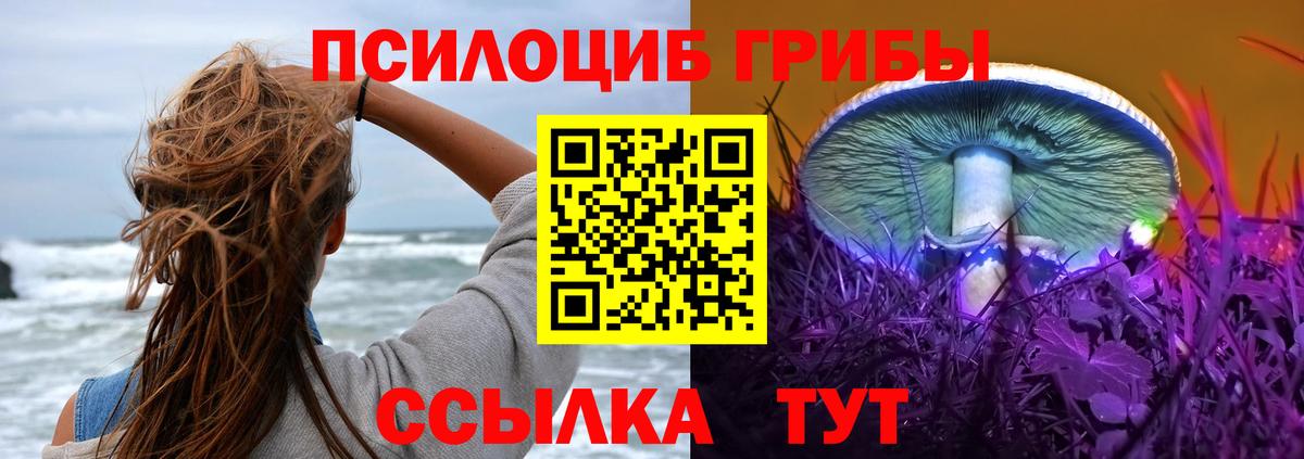 Минусинск  Псилоцибиновые грибы мицелий  Галлюциногенные грибы Psilocybe  Вход с VPN 